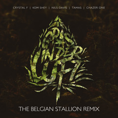 Gras in der Luft (Extended RMX Intrumental) [feat. Nils Davis, The Belgian Stallion & zero/zero]
