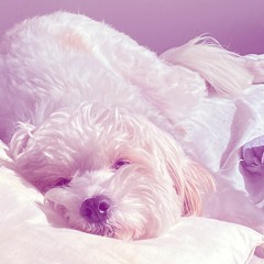 Mix Pra'embalar b2b S0n0ro