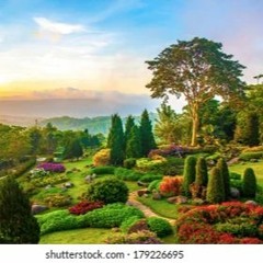 garden project
