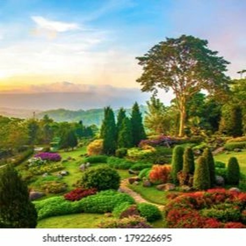 garden project