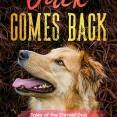 Get PDF Jack Comes Back: Tales of the Eternal Dog, Volumes 1-4 by  Alec Rowell