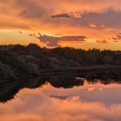 Reef Project - Sunset Slough