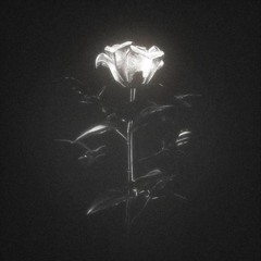 Girl Of My Dreamz (Prod. QUITAllBeats)