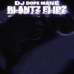 BLANTZ FLIPZ