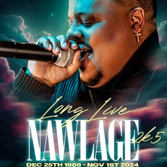 Nawlage ft KimDavis & Wilzon - Set The Mood (DJ J-NYC EDIT)