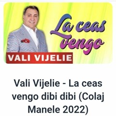Vali Vijelie 2️⃣0️⃣2️⃣2️⃣ 🎷La ceas vengo
