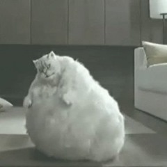 Lotta Dots prod. [bsd.u]