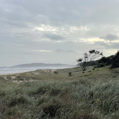 true love will find you in the end - daniel johnston