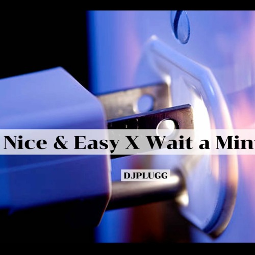 Stream Nice & Easy X Wait A Minute- Alkaline Ft. Willow Smith by ...