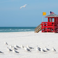 white-sand-christmas Vol 2