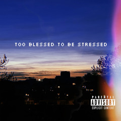 Too Blessed To Be Stressed