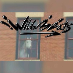 wilda beats your walls loose vol. 1