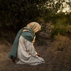 معلقة عنترة بن شداد ،، اسلوب جميل