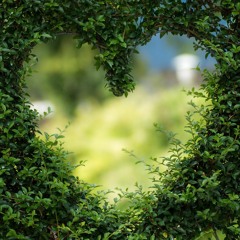Soul As I Know It | Forgiveness | WHY and HOW can you forgive.