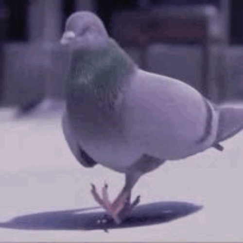 ujx