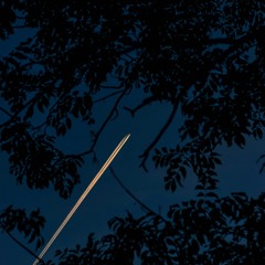 Night Flyer