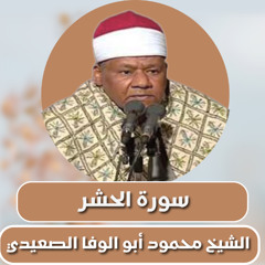 الشيخ محمود أبو الوفا الصعيدي |  سورة الحشر |Abu Al-Wafa AlSaeedi |Surah al-Hashr