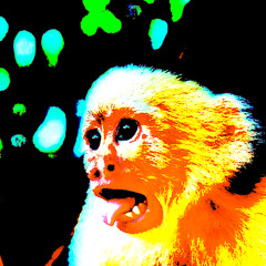 S2S Jamns 2026 - Day 10