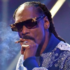 Snoop Mega Mix for DH Bulletin