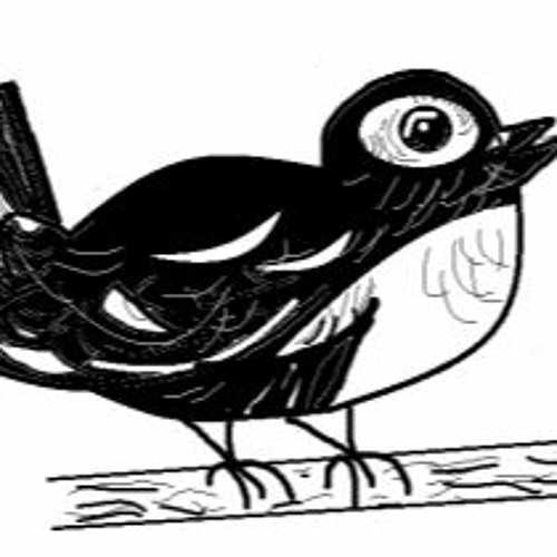Shadows And Magpies for SA Children's choir (Accompanied by Vibraphone and Piano)