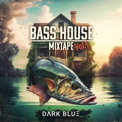 Bass House Mixtape