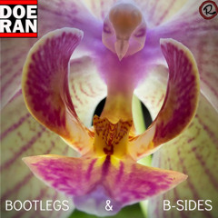 Bootlegs & B-Sides - RapTz Radio Mix #99