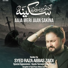 Aaja Meri Jaan Sakina  Syed Raza Abbas Zaidi  Nohay 2025  Muharram 1447  Bibi Sakina Noha.