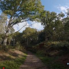 When I'm With You - Custom Procedure