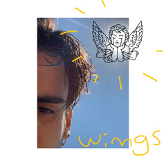 Wings (birdy) - acústico suavecito