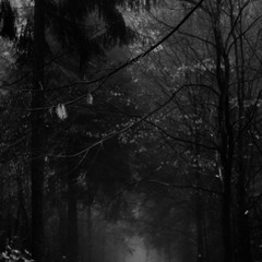 Your Boos Mean Nothing, I've Seen What Makes You Cheer