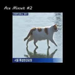 Ace Mixset #2 [ 꽁꽁 얼어붙은 한강위로 05년생들이 듣는 쌈뽕한 믹셋 ]