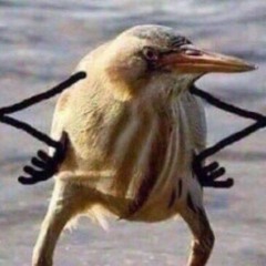 ça va turn up très fort