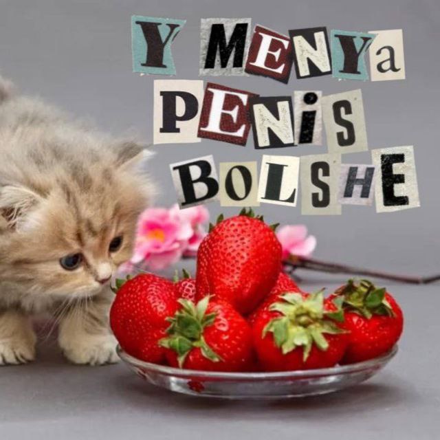 Зима в сердце (с моего хуя, убери руки)