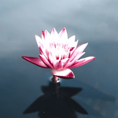 Mungk - Meditation Music (Full Project for World Mental Health Day 2021)