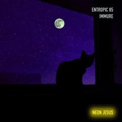 Entropic 85 - "Immure"