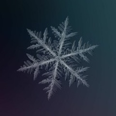 The Snowflake