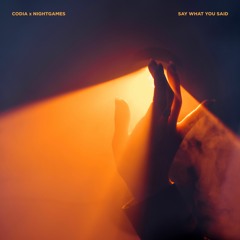 CODIA X Nightgames - Say What You Said