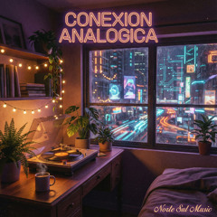 Conexion Analogica