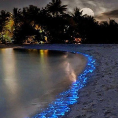 Club - Eflexx! & Rucci MIX