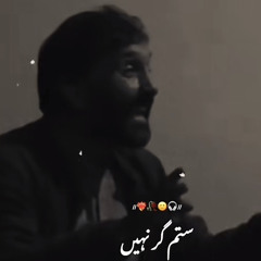 Ap to bewafa or sitamgar nahi - viral tiktok song