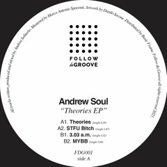 PREMIERE: Andrew Soul - STFU Bitch [Follow Da Groove]