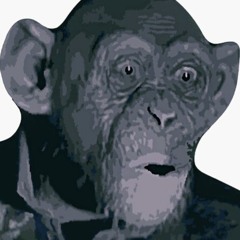 UPTEMPO - BRAIN MASSAGE