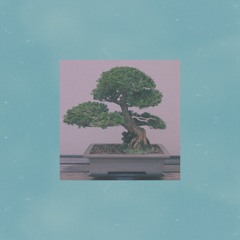 P A T I E N C E  S C R O L L .