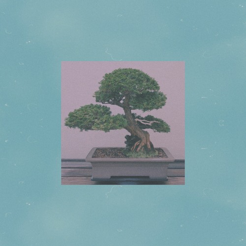 P A T I E N C E  S C R O L L .