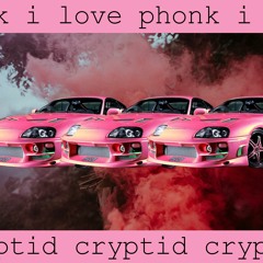 i love phonk