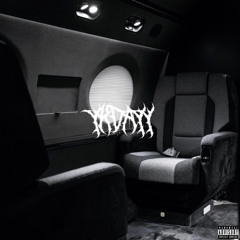 private jet hiding (prod. @whosbrando x @damnhgately)