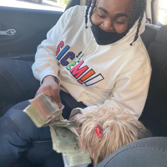 Wtm Re ft Wtm Bankroll - Catch A Basket