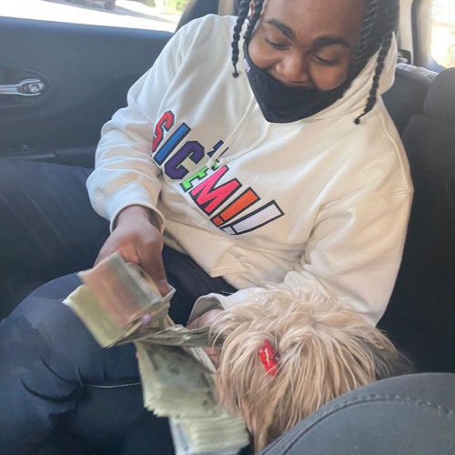 Wtm Re ft Wtm Bankroll - Catch A Basket