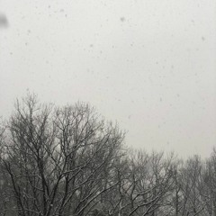 1997 - FISHWAVE(2021)