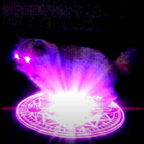 Demonic Little Grey Cat Theme Song